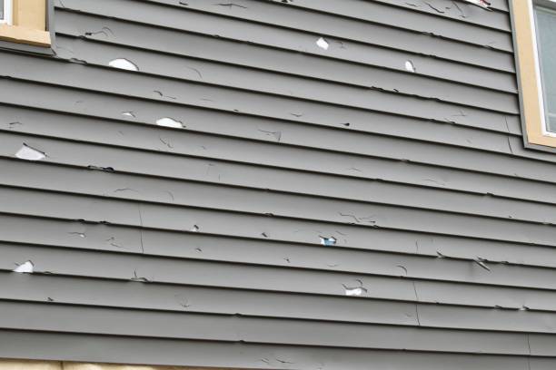 How To Choose The Right Materials for Your Siding Installation in 'Eagle Lake, WI